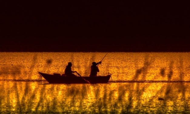 Få råd til den bedst mulige fisketur