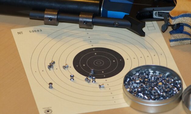 Derfor er et luftgevær den perfekte fritidsaktivitet i haven