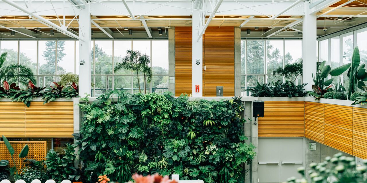 Sådan indretter du dit drivhus som orangeri