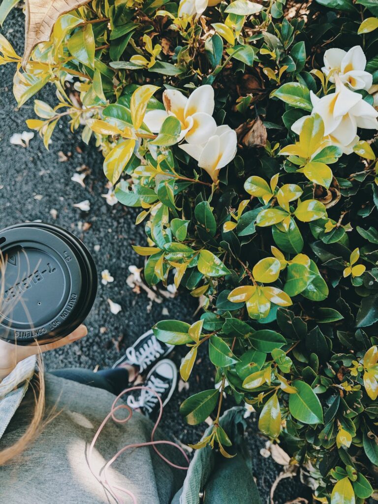 planter