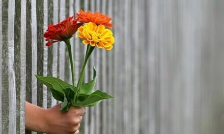 Giv manden blomster på valentinsdag