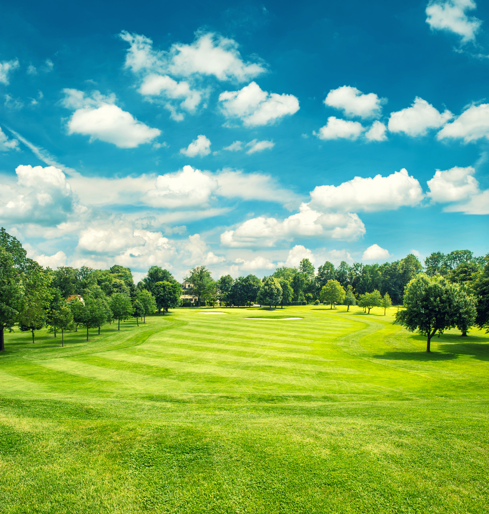 have golf