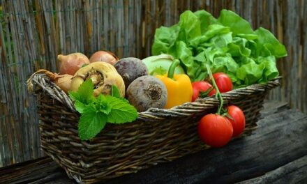 Dyrk dine egne grøntsager og frugter til din sunde livsstil