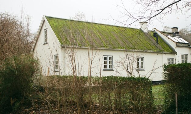 Gør taget forårsklar med en algebehandling